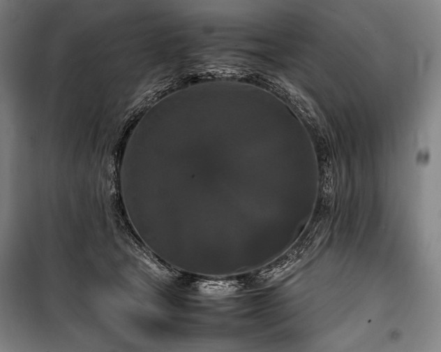 X0000100310465200806121044