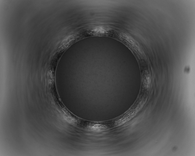 X0000100310467200806121044