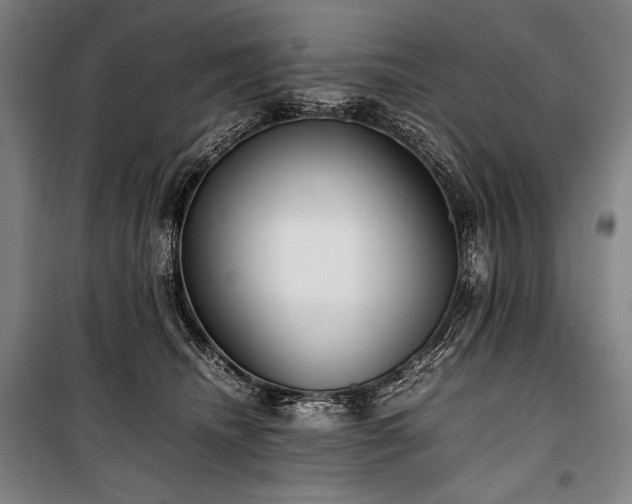 X0000100310468200806121044
