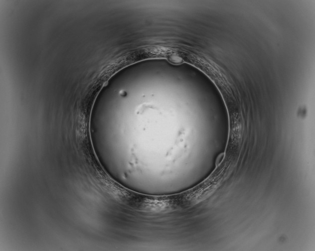 X0000100310469200806121044