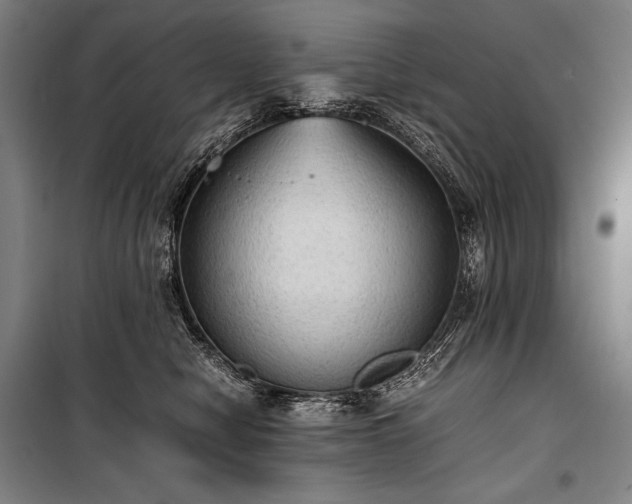 X0000100310470200806121044