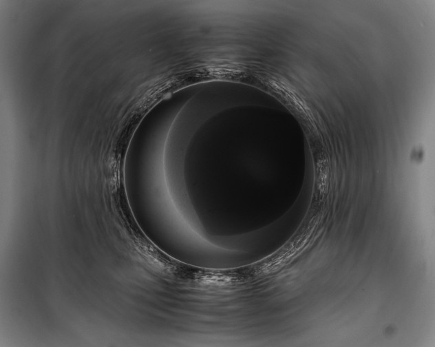 X0000100310471200806121044