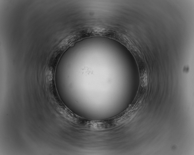 X0000100310472200806121045