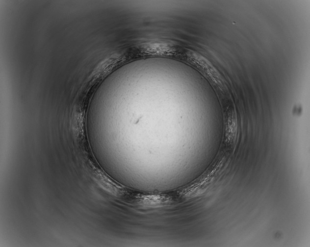 X0000100310473200806121045