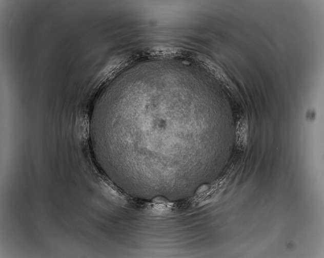 X0000100310474200806121045