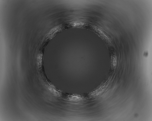 X0000100310475200806121045