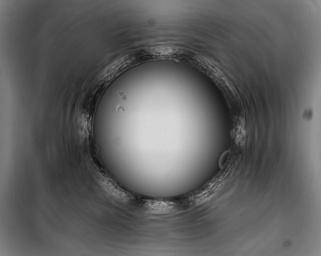 X0000100310476200806121045