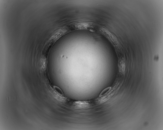 X0000100310477200806121045
