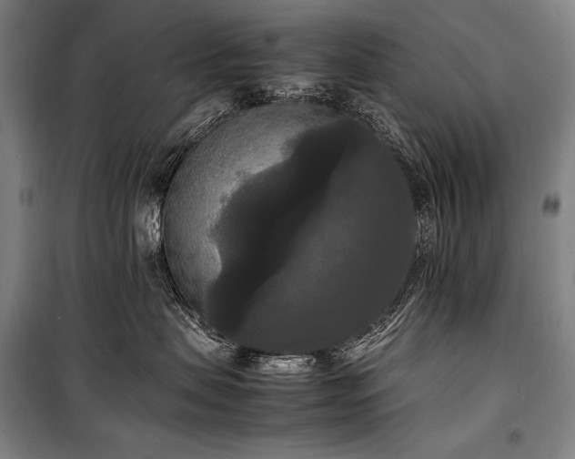 X0000100310479200806121045