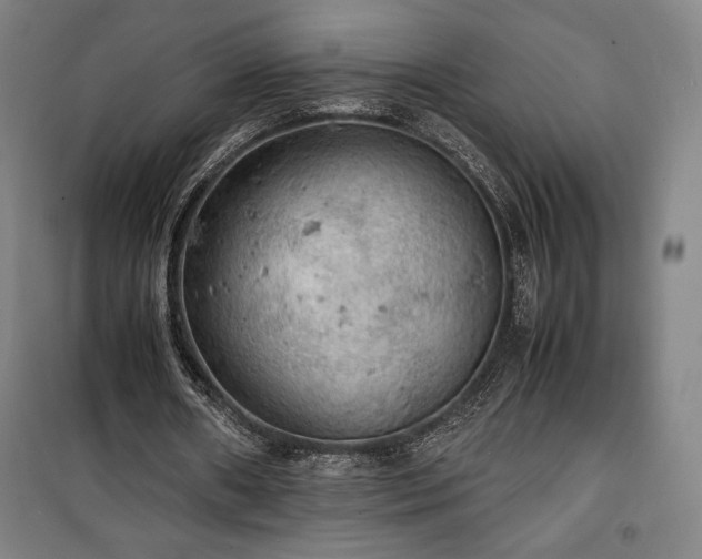 X0000100310482200806121044