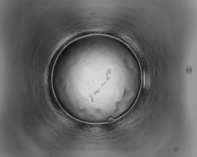 X0000100310483200806121044
