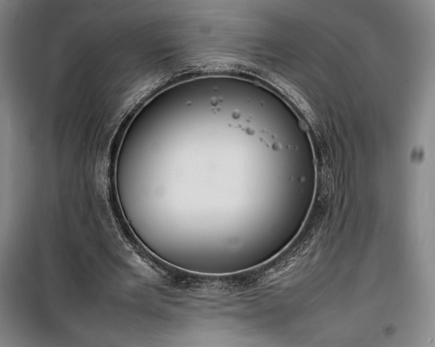 X0000100310485200806121044