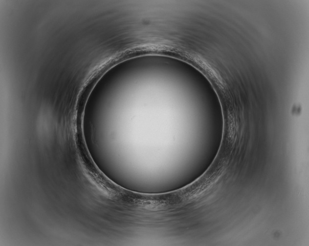 X0000100310486200806121044