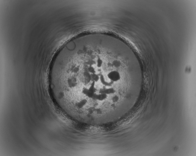 X0000100310487200806121044