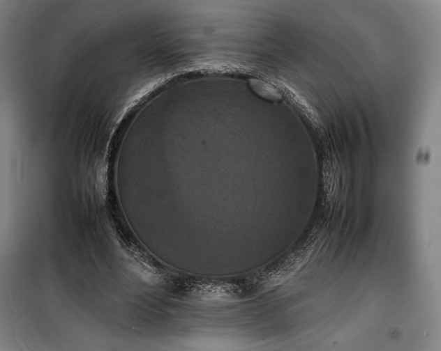 X0000100310488200806121044