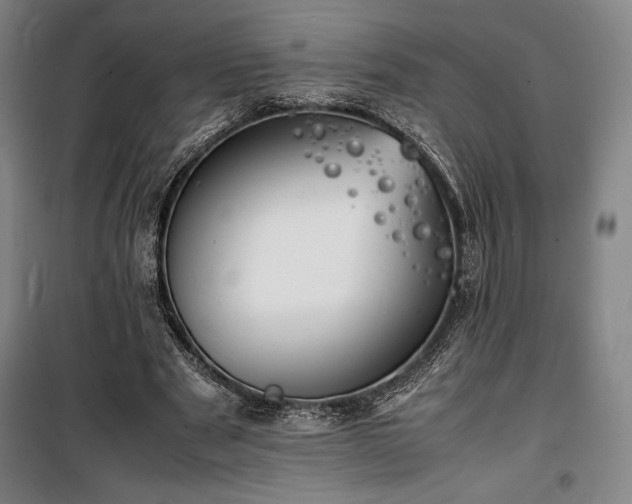 X0000100310489200806121044