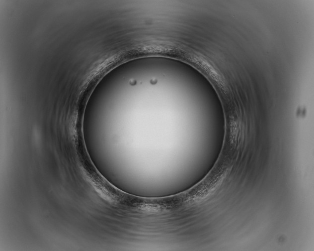 X0000100310490200806121044