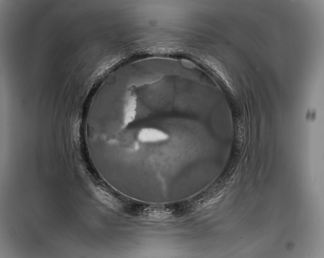 X0000100310491200806121044