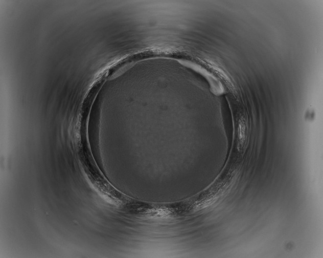 X0000100310492200806121044
