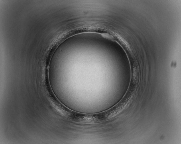 X0000100310493200806121044