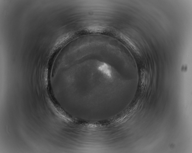 X0000100310494200806121044