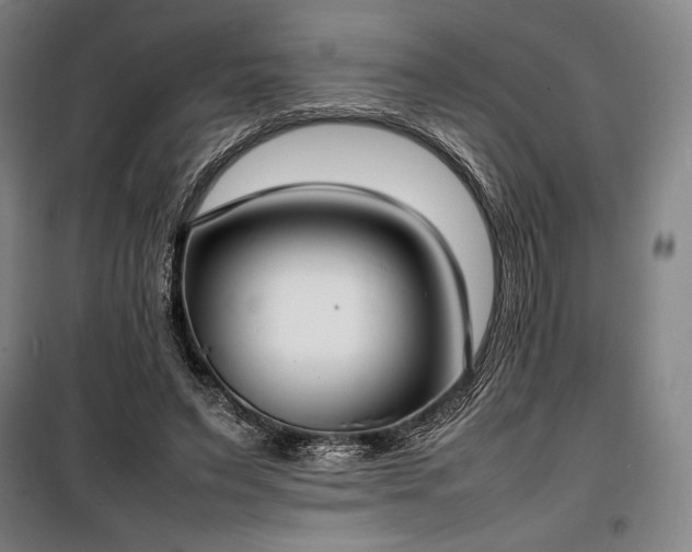 X0000100310495200806121044