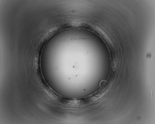 X0000100310497200806121044