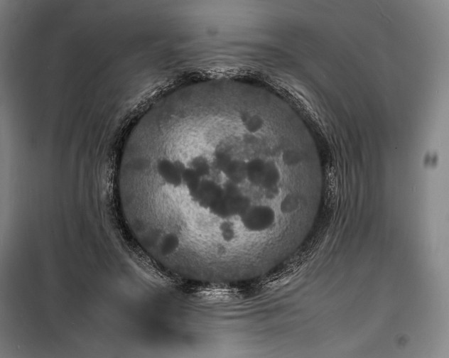 X0000100310499200806121044