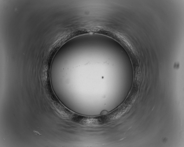 X0000100310501200806121044