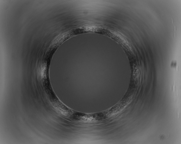 X0000100310502200806121044