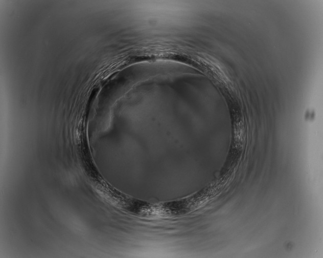 X0000100310503200806121044