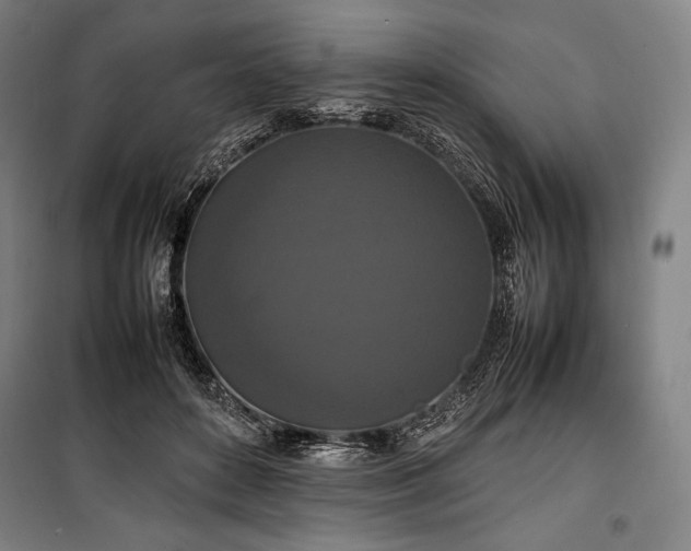 X0000100310504200806121044