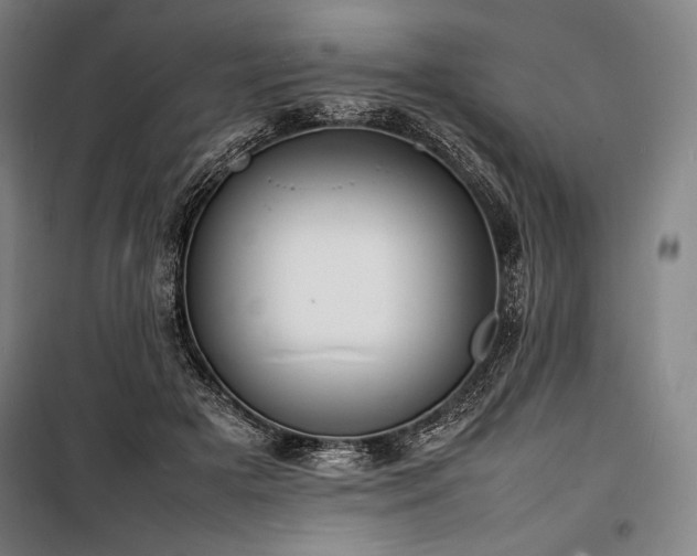 X0000100310505200806121044