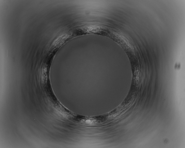 X0000100310506200806121044