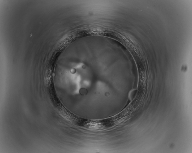 X0000100310507200806121044