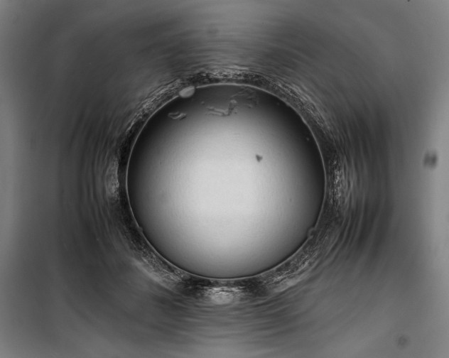 X0000100310508200806121044