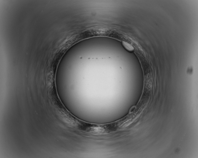 X0000100310509200806121044