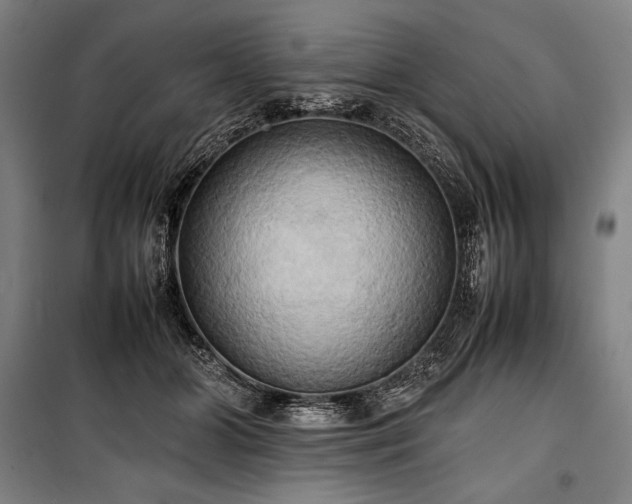 X0000100310510200806121044