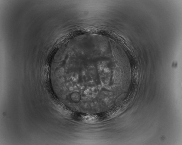 X0000100310511200806121044