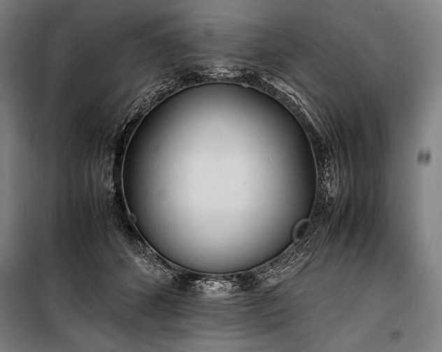 X0000100310512200806121044