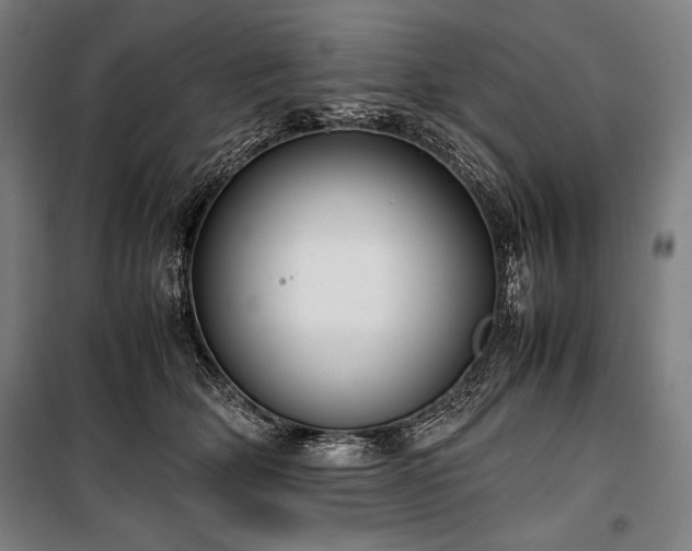 X0000100310514200806121043
