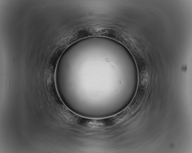 X0000100310515200806121043