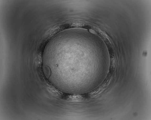 X0000100310517200806121043