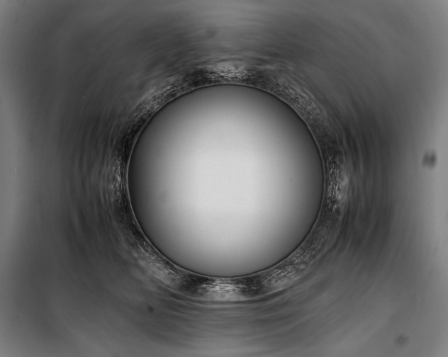 X0000100310518200806121043