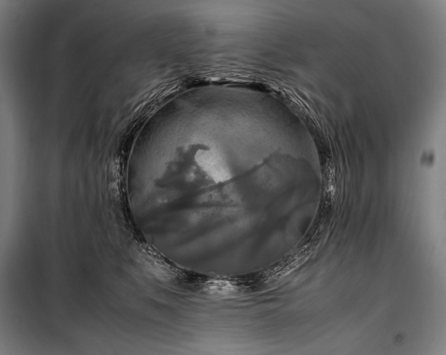 X0000100310519200806121043