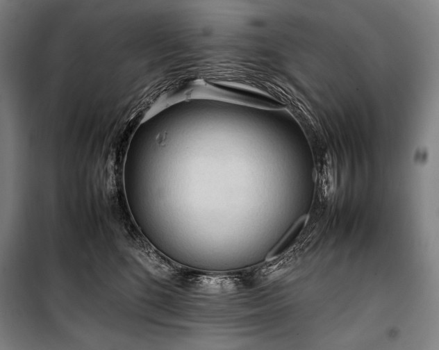 X0000100310520200806121043