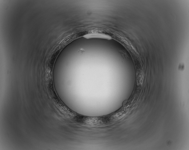 X0000100310521200806121043