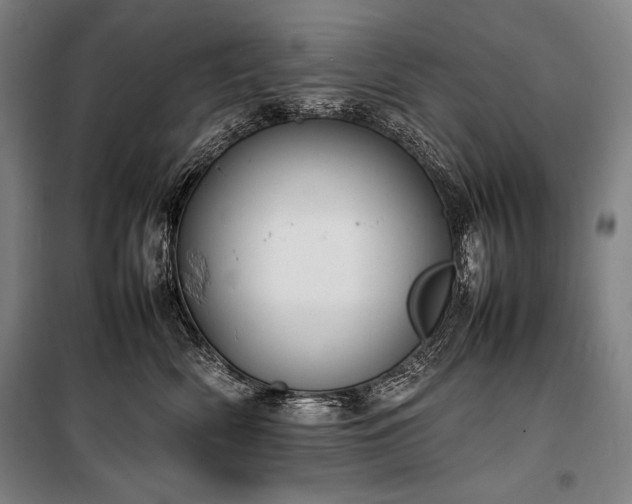 X0000100310522200806121043