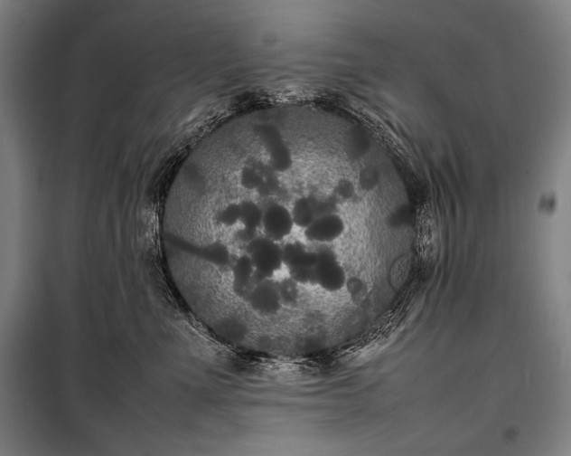 X0000100310523200806121043
