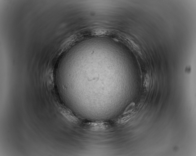 X0000100310524200806121043